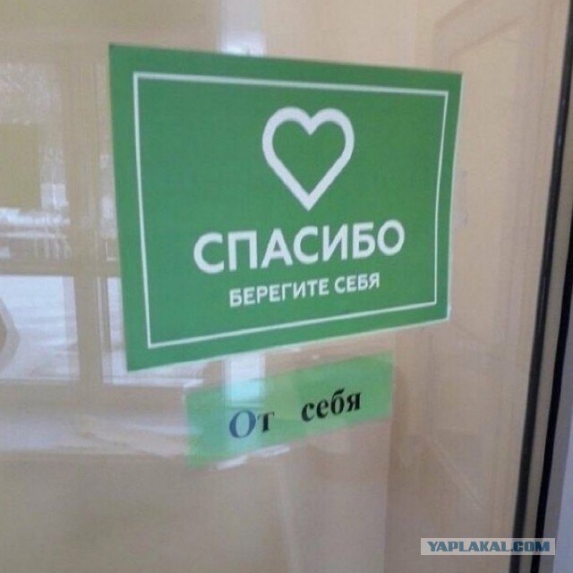 Баяны и аккордеоны. Смешные и не очень