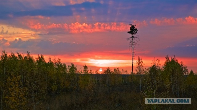 С Международным Днем Туризма