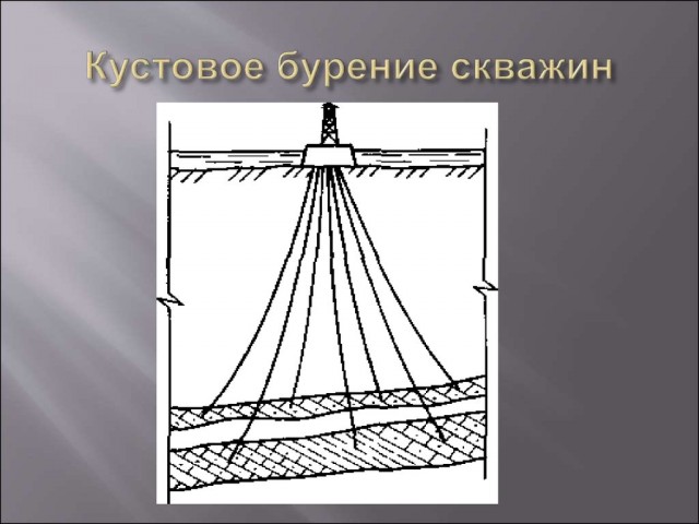 Медведь напал на двух вахтовиков