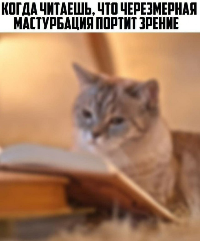 Дристоль два ноль