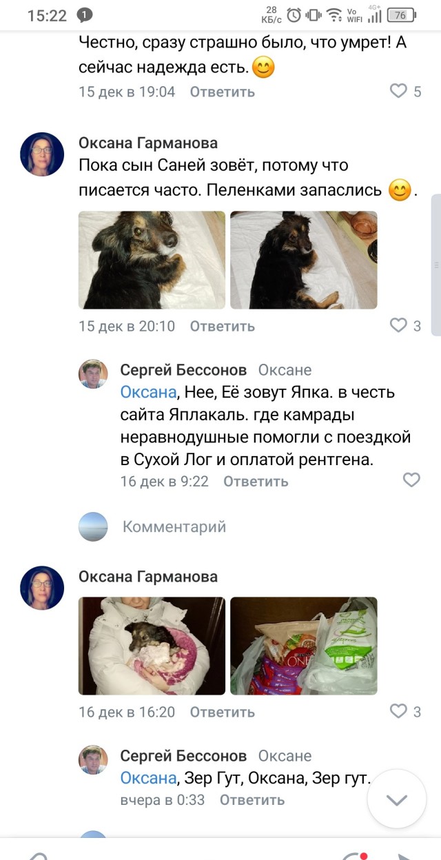 Собакочетверг или как я стал приемным папой