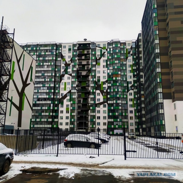 Кудрово. Февраль 2023