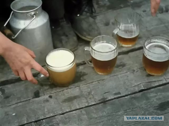 Пивные, как вы к ним относитесь?