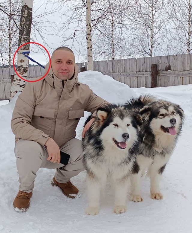 А у меня воскресный пёс
