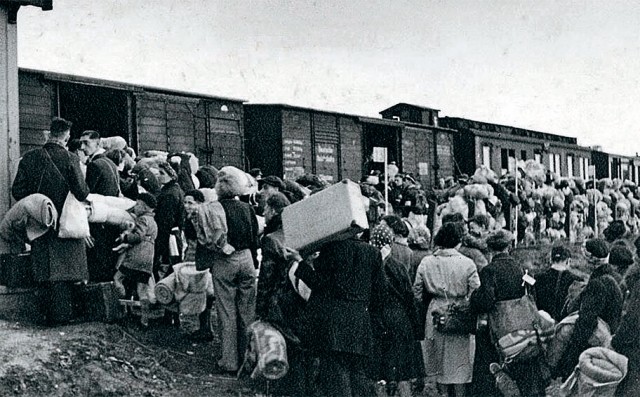 Обстановка в миграционном центре Питера