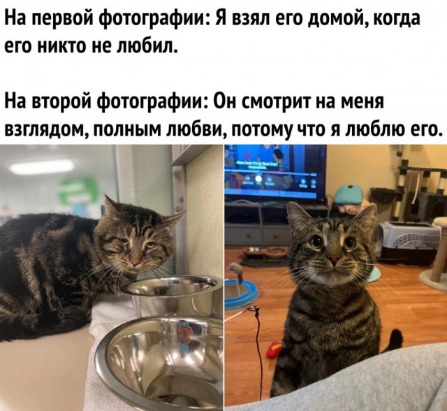 Так себе картинки 28.05.24