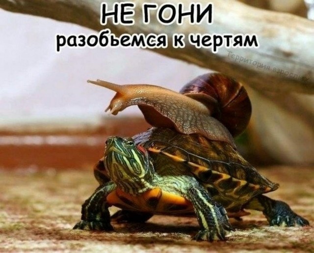 Юмор в картинках и без