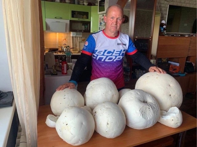 Тихий охотник