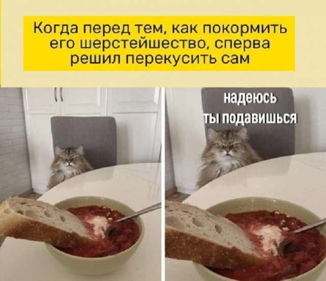 Картинки разные с надписями и без