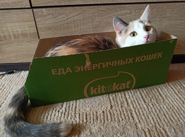 Коробочки наше фсё