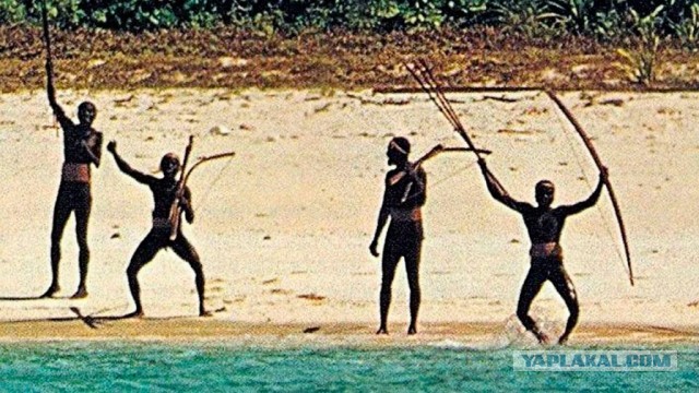 Учёные уверены: мы просто питомцы на огромной ферме!