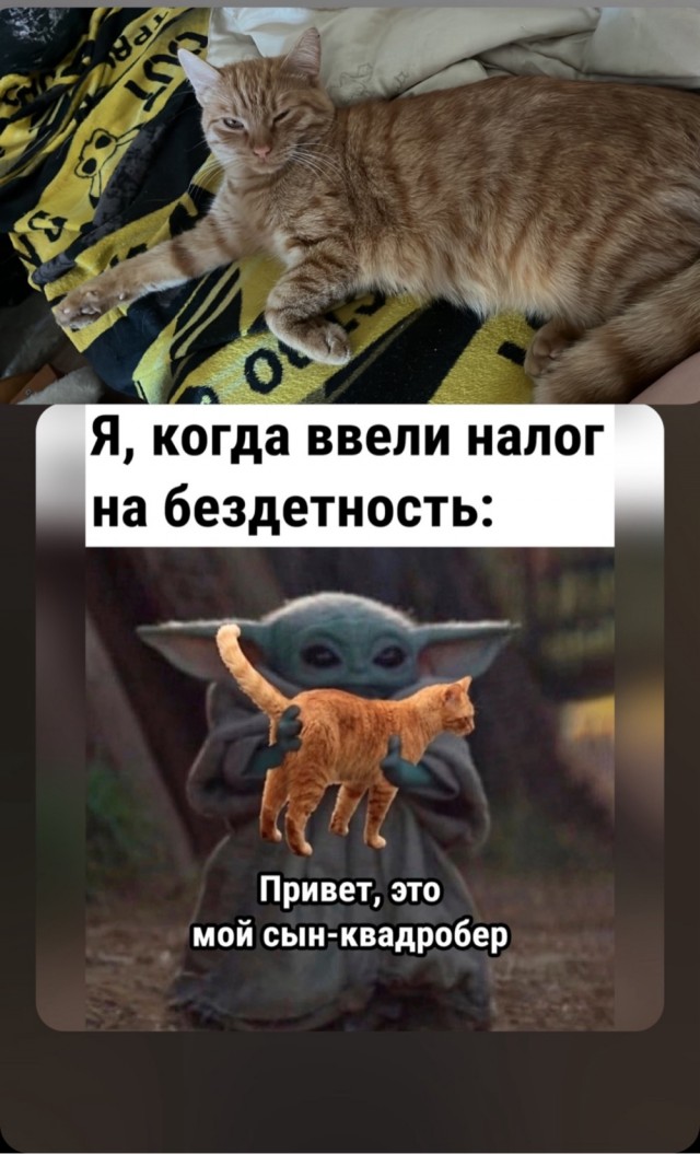 Давайте опубликуем