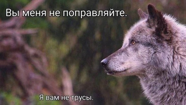 Посмеялся сам - поделись с другом!!!