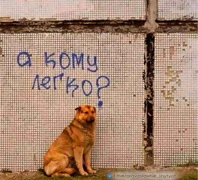 Прикольные и просто красивые картинки