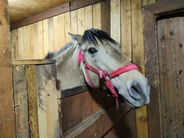Новый год в Уральских горах.