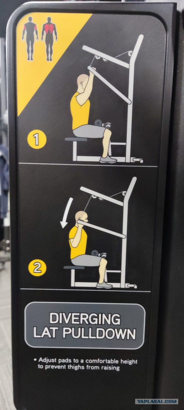 Спортзал, есть ли смысл туда ходить.