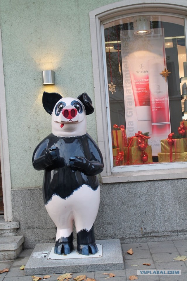 В Германию на сертификацию.