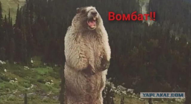 Запределье