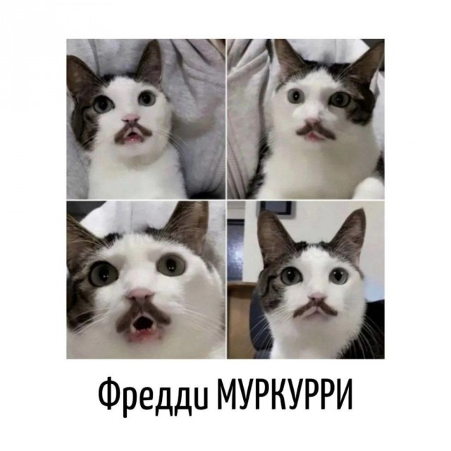 Завалялось тут случайно немного забавных картинок