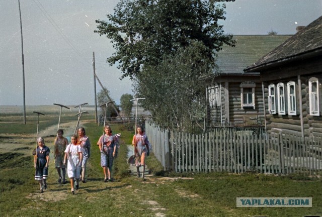 Ностальгия по работящим женщинам