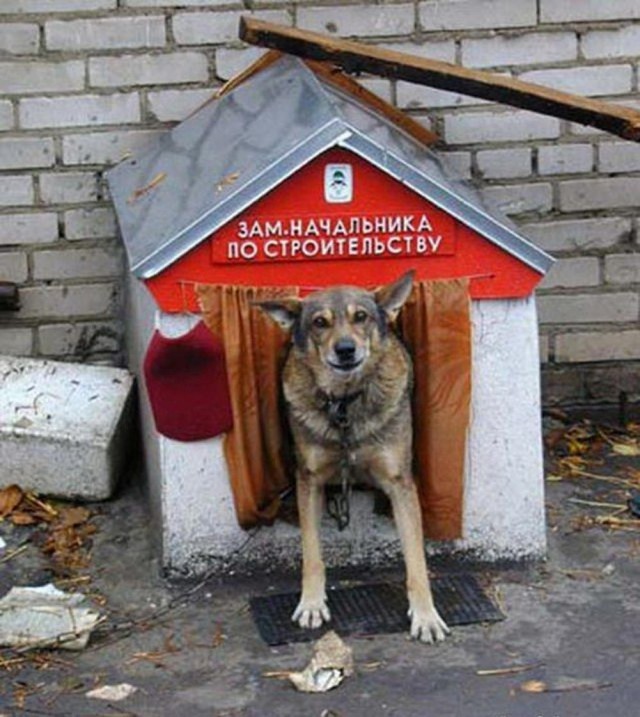 Ну, разбавим вторник позитивом!