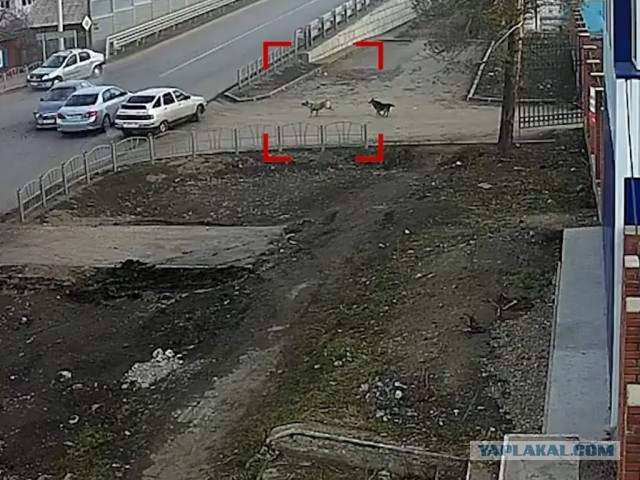 ӨФӨ: Упс... Кто здесь?!