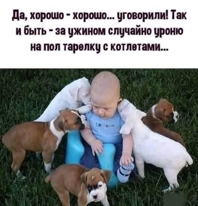 Так себе картинки 18.07.25