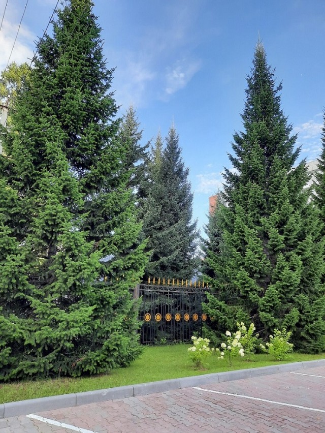 Деревенская Америка - 10