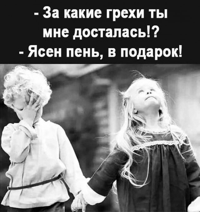 Прикольные и просто красивые картинки 17.11.2025
