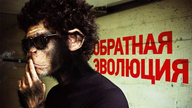 Иконостас в квартире — новый тренд россиян