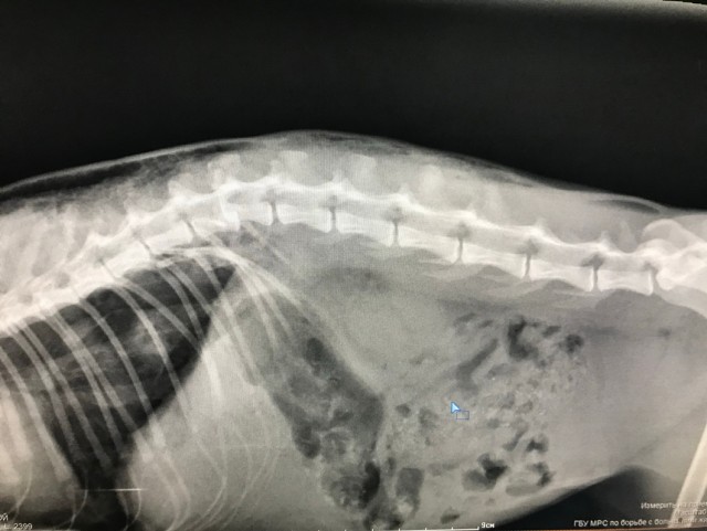 Безымянная извечная битва