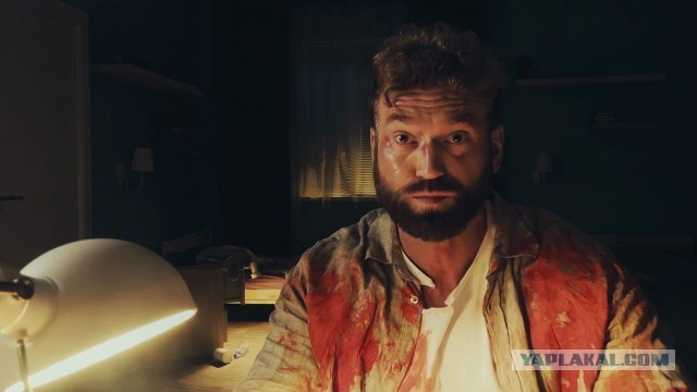 В Швеции теперь нельзя оставлять котов одних на весь день