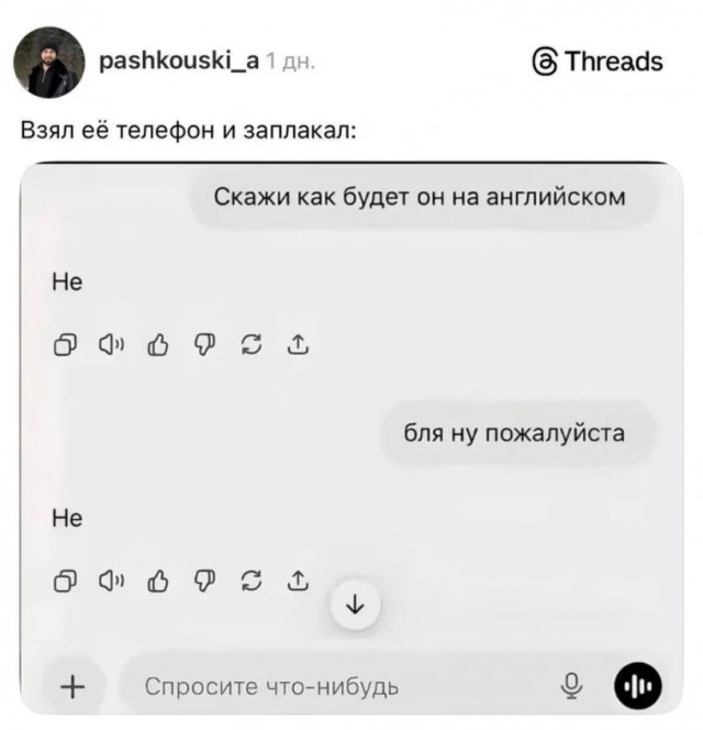 Смешные комментарии из социальных сетей 08.03.2026