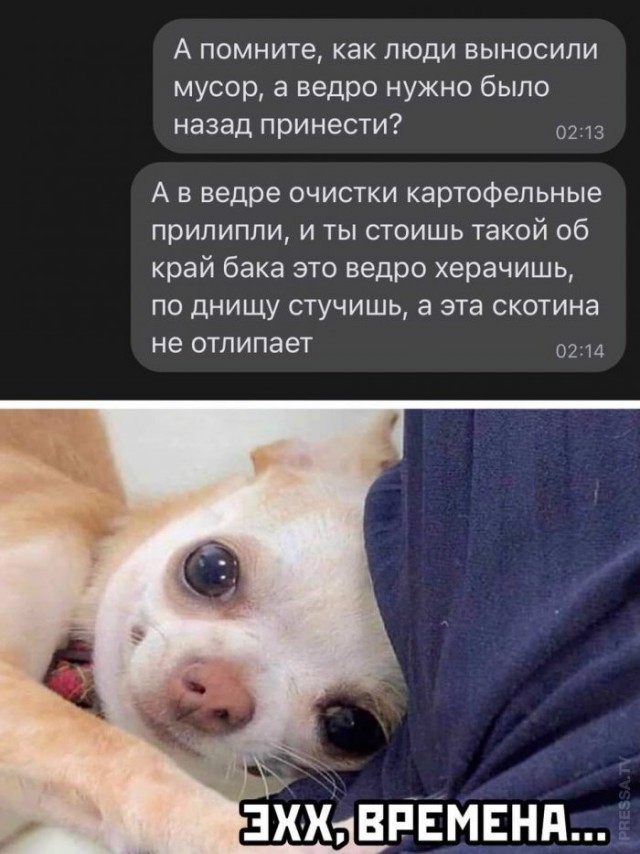 Веселые картинки в пятницу (17.04)