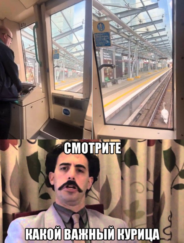 Одна из причин высокой смертности на железных дорогах Индии