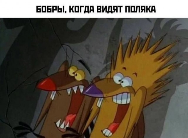 Веселое настроение в картинках 14.08.26