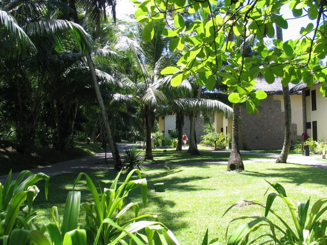 Как я съездил на Сейшелы