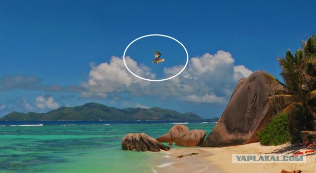 Как я съездил на Сейшелы