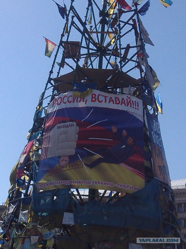 За линией фронта