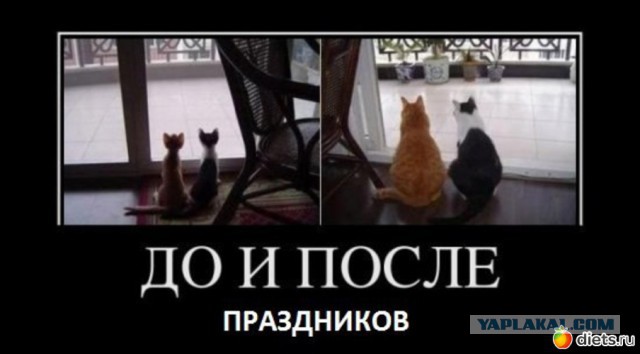 Немного позитива на пятницу