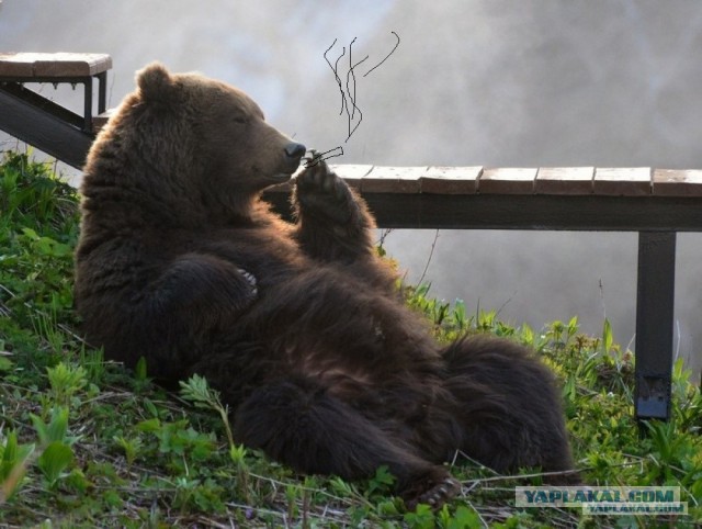 Лучшие фотографии National Geographic