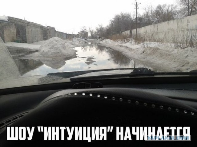 Картинки