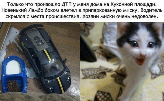 Автоприколы-7