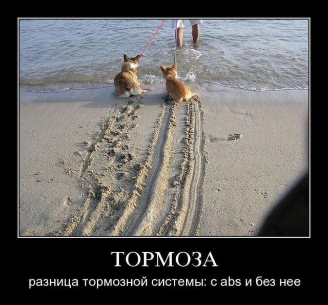 Абсурдный юмор ч.3