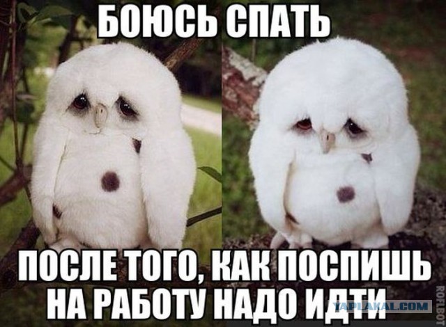 15 интересных вещей, которые происходят с вами во сне