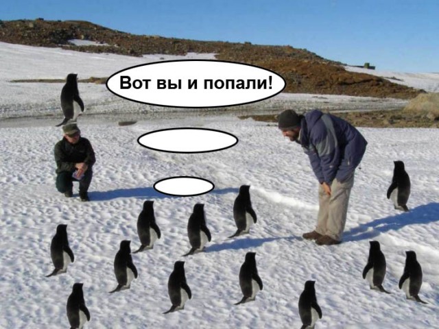 Фотожаба: Полярники окружают!