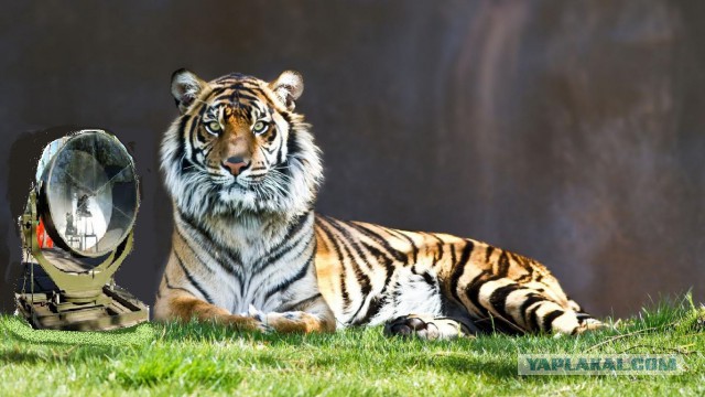 О жизни, смерти и любви. Взрослые сказки ©Ятаган