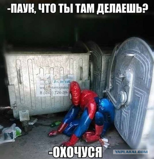 Ужасы и приколы из соцсетей 18+
