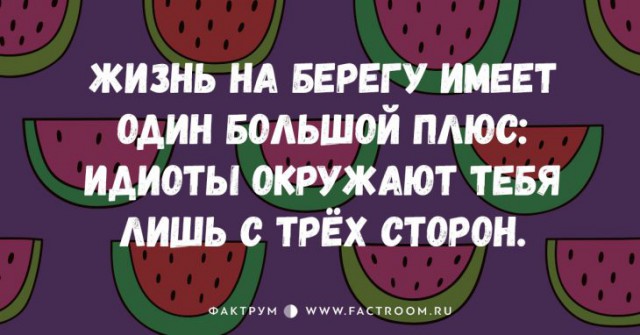 Порция картинок из сети