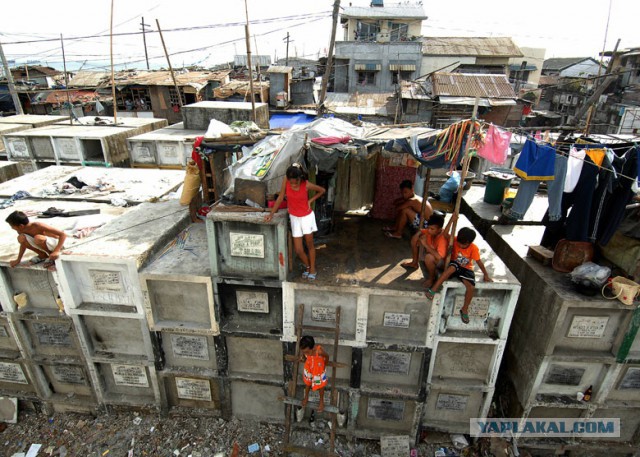 Кладбищенская принцесса: история девушки, живущей среди могил